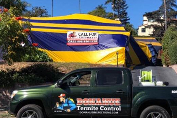 Tented Home
